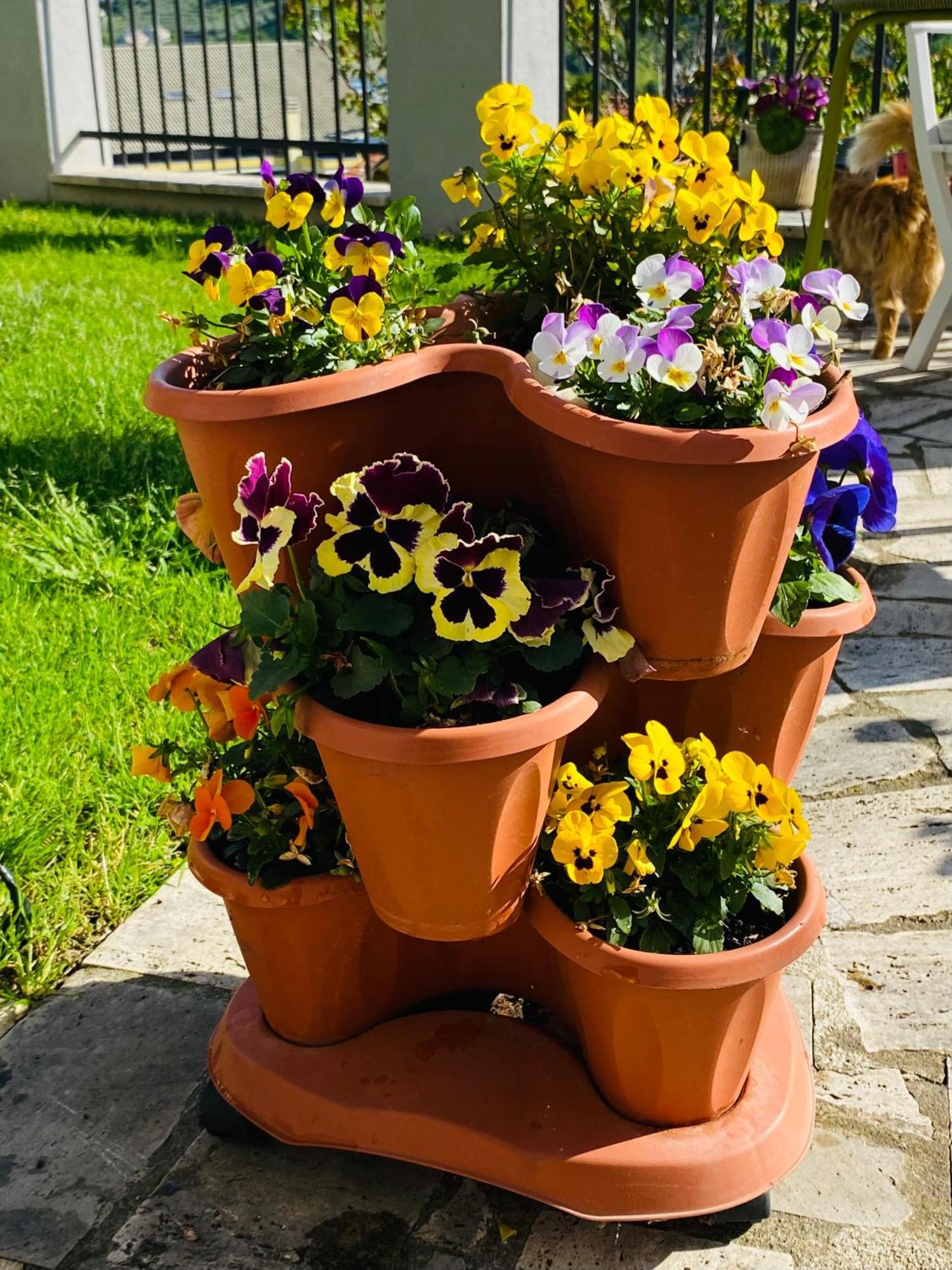 Dimora Il Campanile Bed & Breakfast Chieti Dış mekan fotoğraf